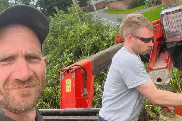 Pair guilty of cutting down Sycamore Gap tree Pair guilty of cutting down Sycamore Gap tree