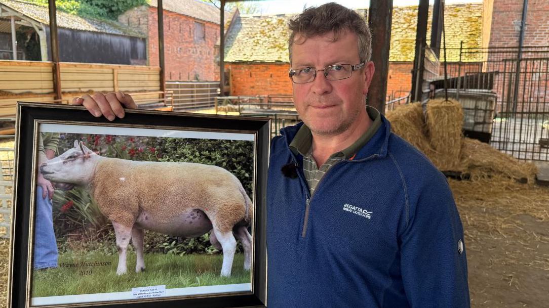 Polluted airport water ‘destroyed my unborn lambs’ Polluted airport water ‘destroyed my unborn lambs’